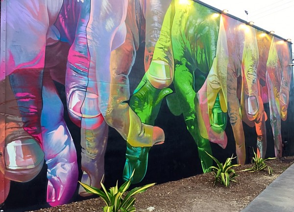 WhatsApp Image 2018-08-07 at 16.43.42 (1)