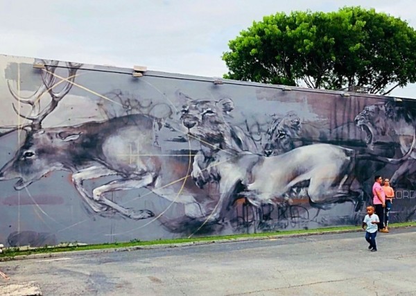 WhatsApp Image 2018-08-07 at 16.43.43