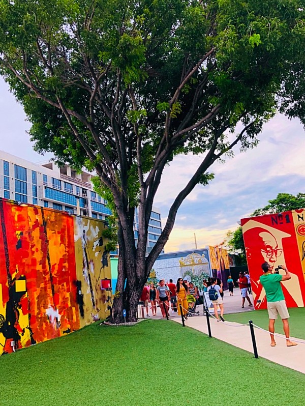 WhatsApp Image 2018-08-07 at 16.49.19 (1)