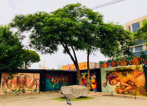 WhatsApp Image 2018-08-07 at 16.49.20