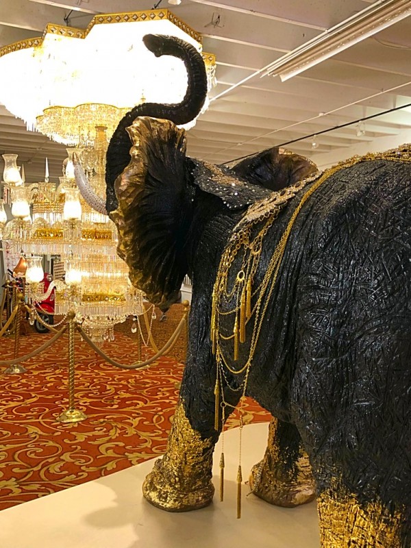 WhatsApp Image 2018-08-07 at 16.56.10