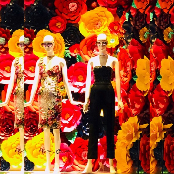 WhatsApp Image 2018-08-30 at 10.47.12 (1)